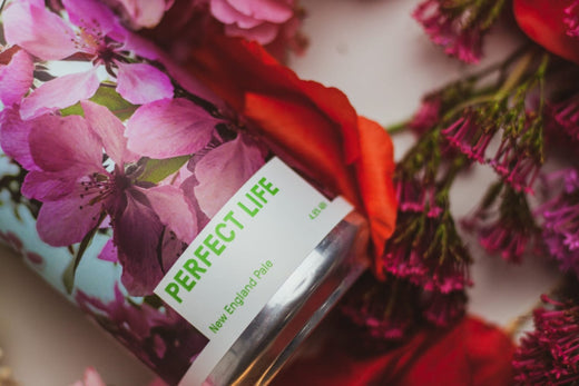 Perfect Life 4.8% New England Pale – Pressure Drop Brewing